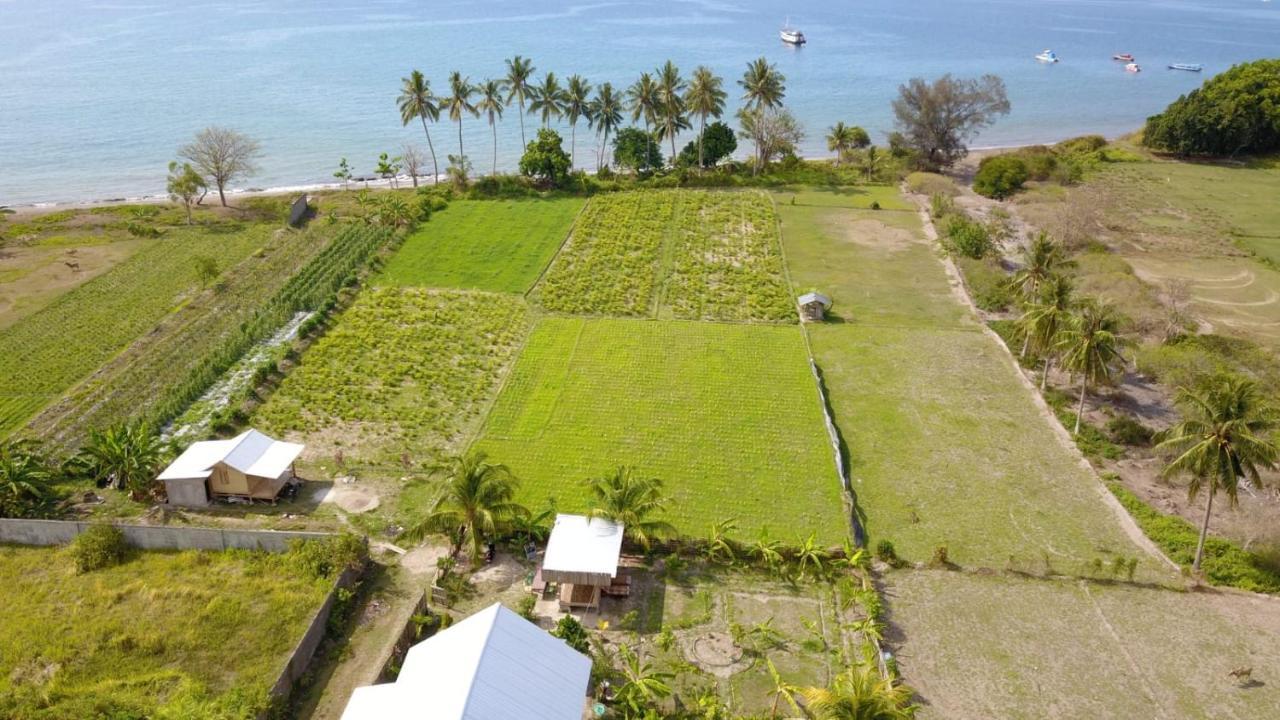 The Daun Puntik Homestay Pemenang Buitenkant foto
