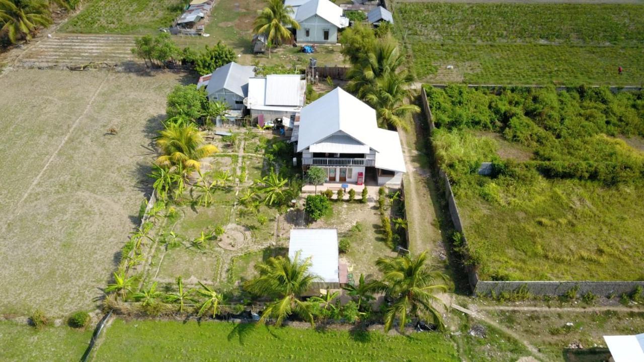 The Daun Puntik Homestay Pemenang Buitenkant foto