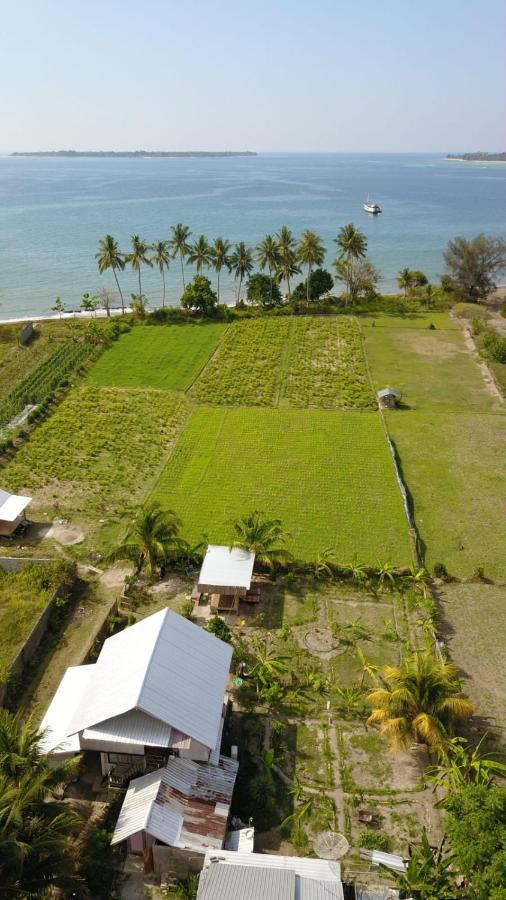 The Daun Puntik Homestay Pemenang Buitenkant foto