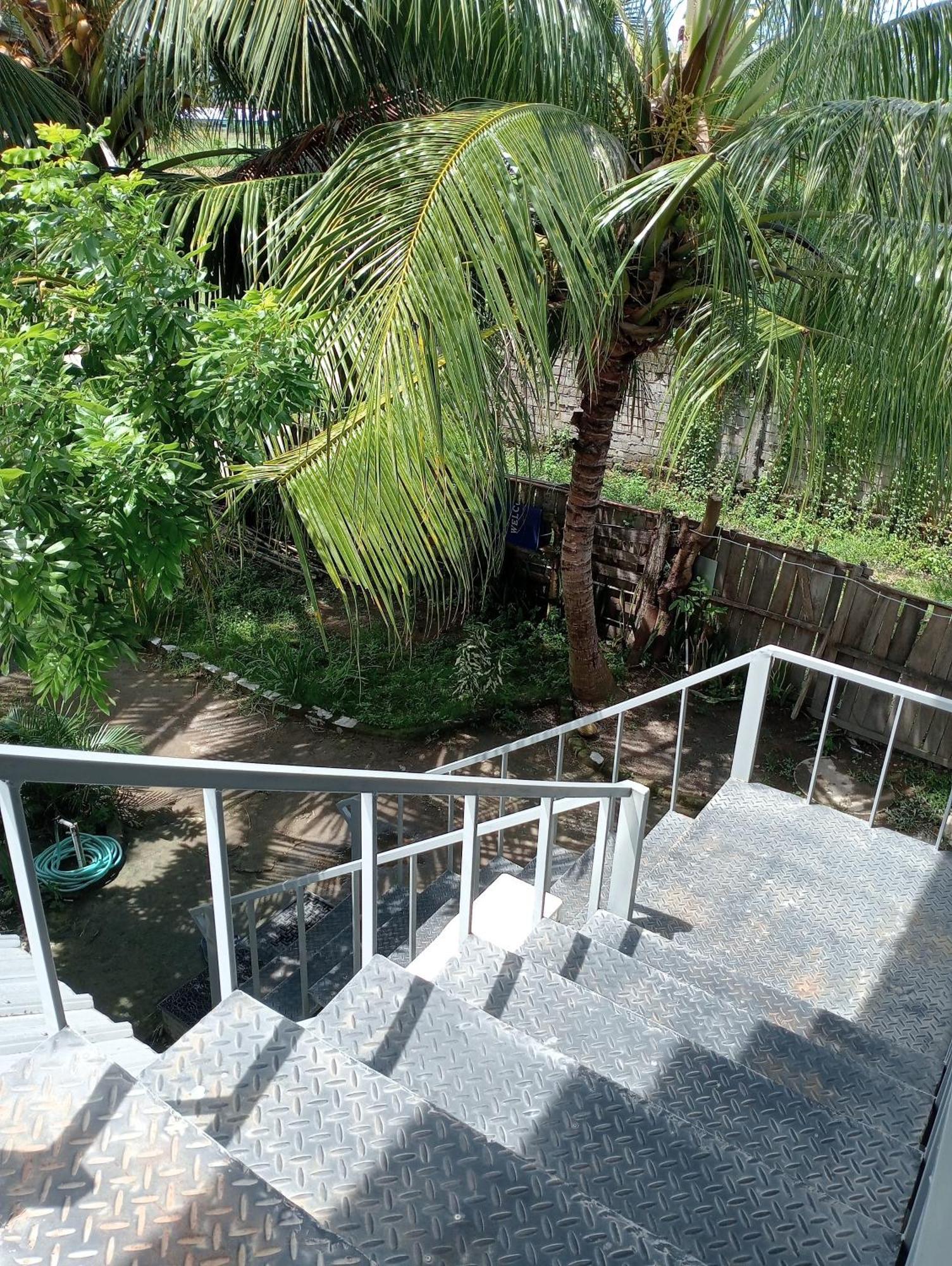 The Daun Puntik Homestay Pemenang Buitenkant foto