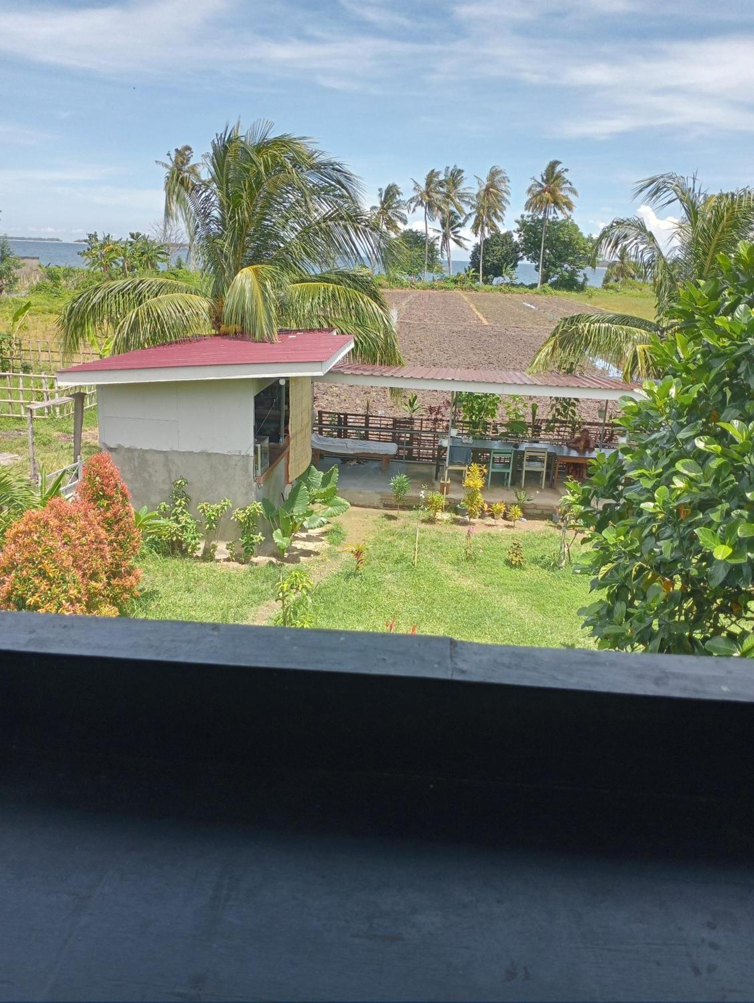The Daun Puntik Homestay Pemenang Buitenkant foto