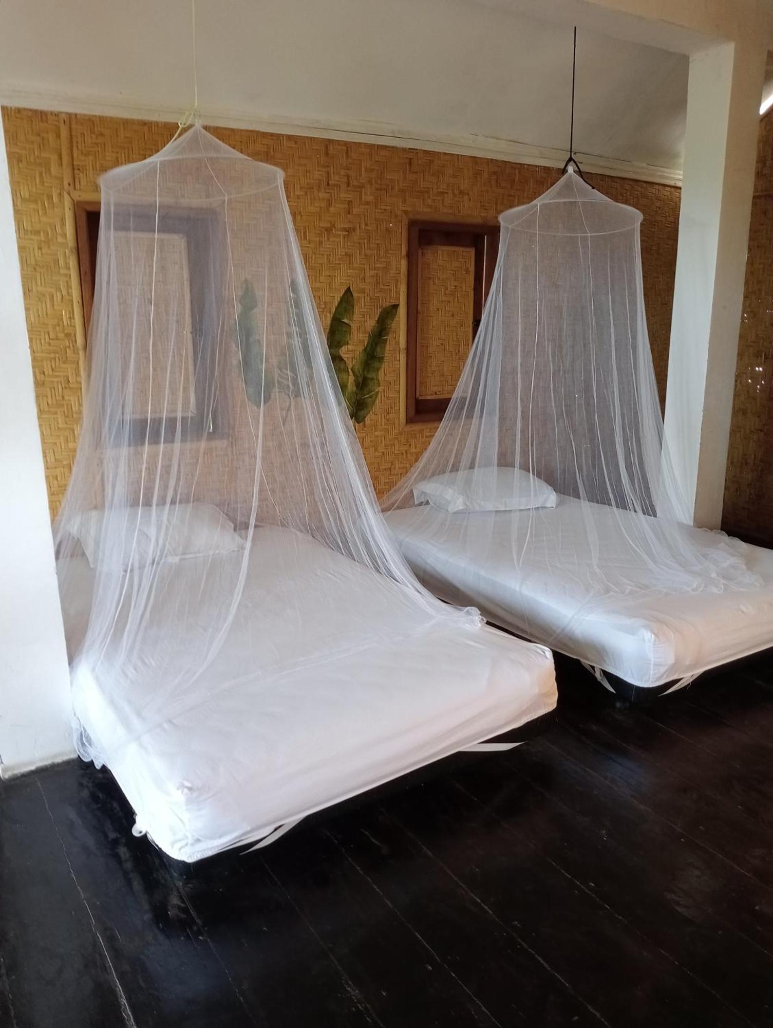 The Daun Puntik Homestay Pemenang Buitenkant foto