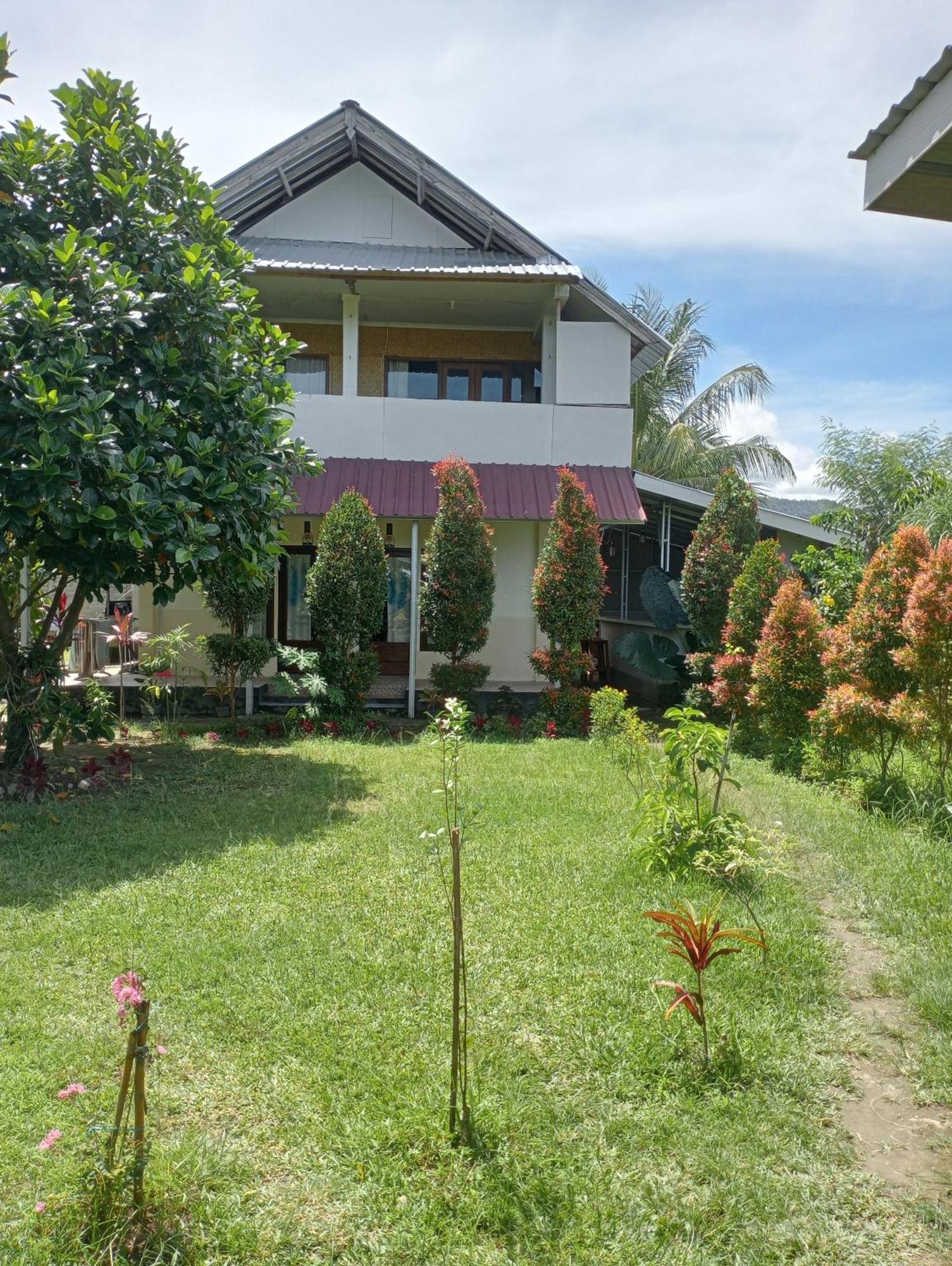 The Daun Puntik Homestay Pemenang Buitenkant foto