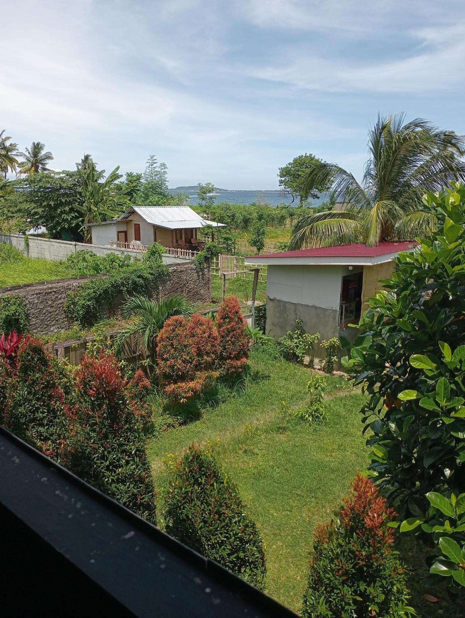 The Daun Puntik Homestay Pemenang Buitenkant foto